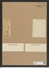 Hemiaulus angustus Grev. (de-Toni-Nr.: Genus 117, Species 3344) Zeichnungen Sammlung Grunow Nr. 6751 (NHMW-BOT-W0375574)